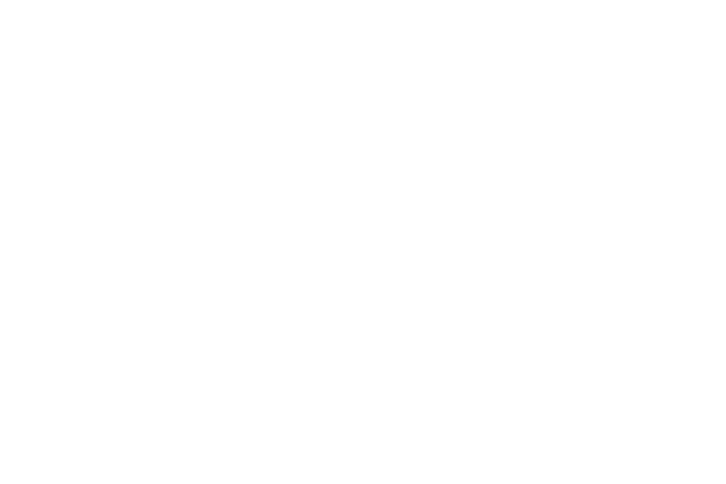Logo -Prince